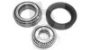 BREDA  LORETT KRT2160 Wheel Bearing Kit